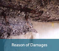 Reason Of Damages